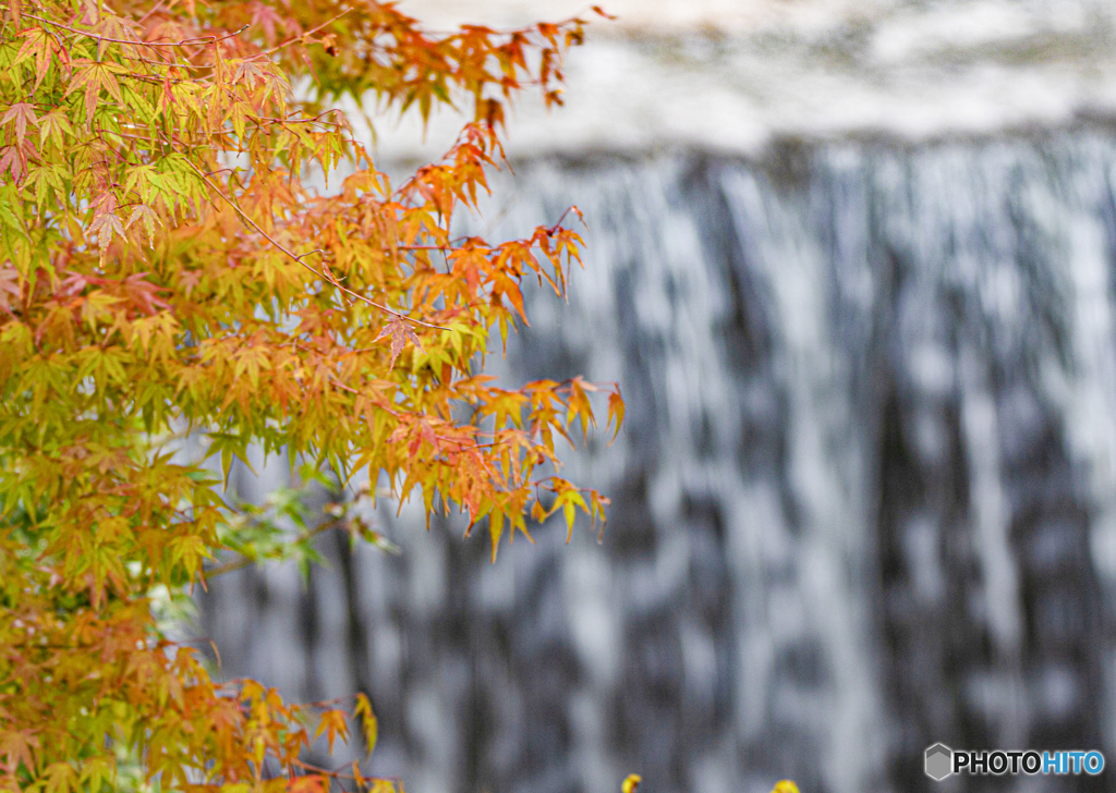 【350dpi・A3Y+6mm】滝と紅葉