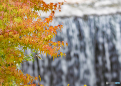 【350dpi・A3Y+6mm】滝と紅葉