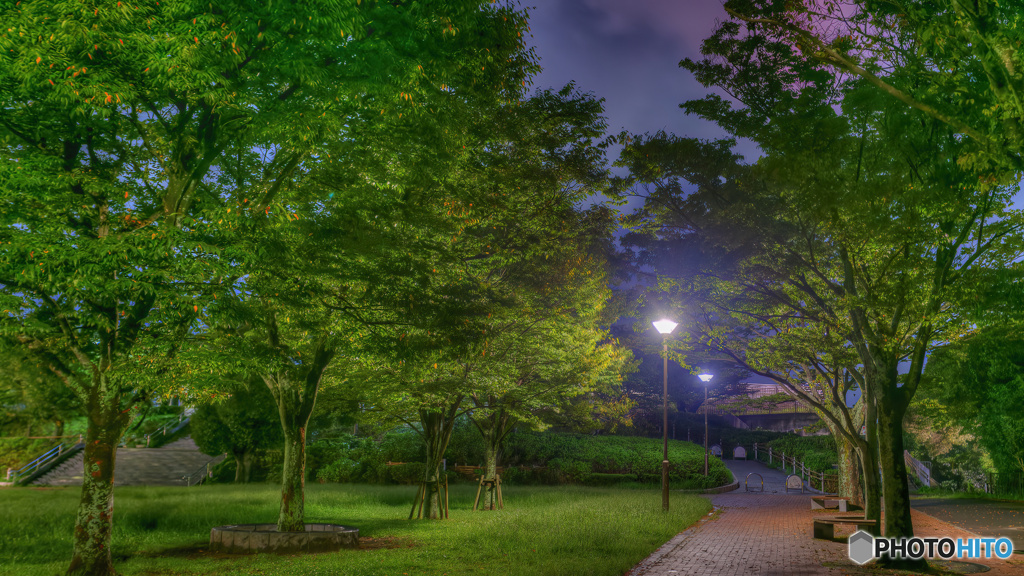 【HDR・4K】私も公園の街灯