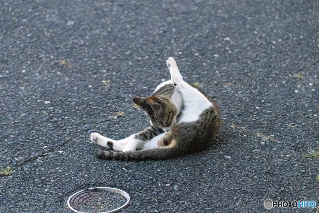 やっとるやないかいw