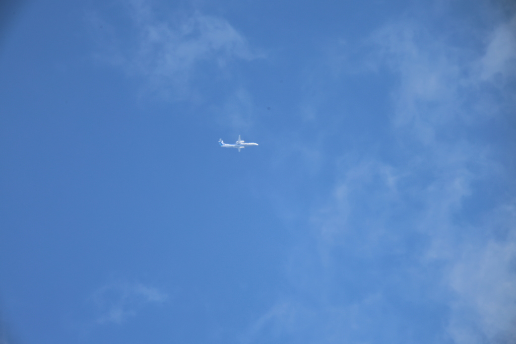 JALではなかった。