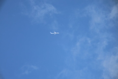 JALではなかった。