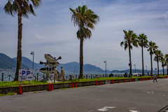 【山口県】ふぐ(中)