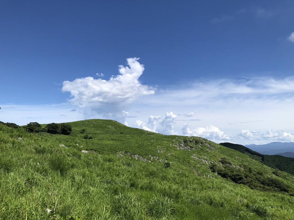 北九州・カルスト台地（平尾台）