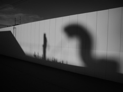 影