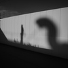影