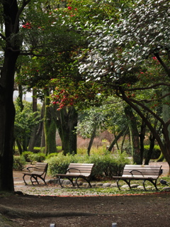 鶴舞公園にて