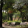 鶴舞公園にて