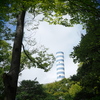 公園　ファンタジー