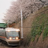 金山駅　桜と「しなの」５