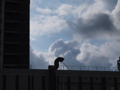 雲