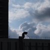 雲