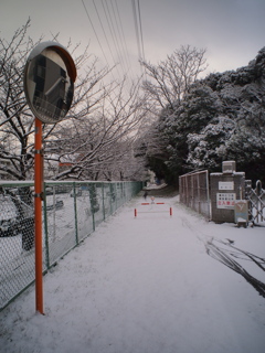 雪の日３