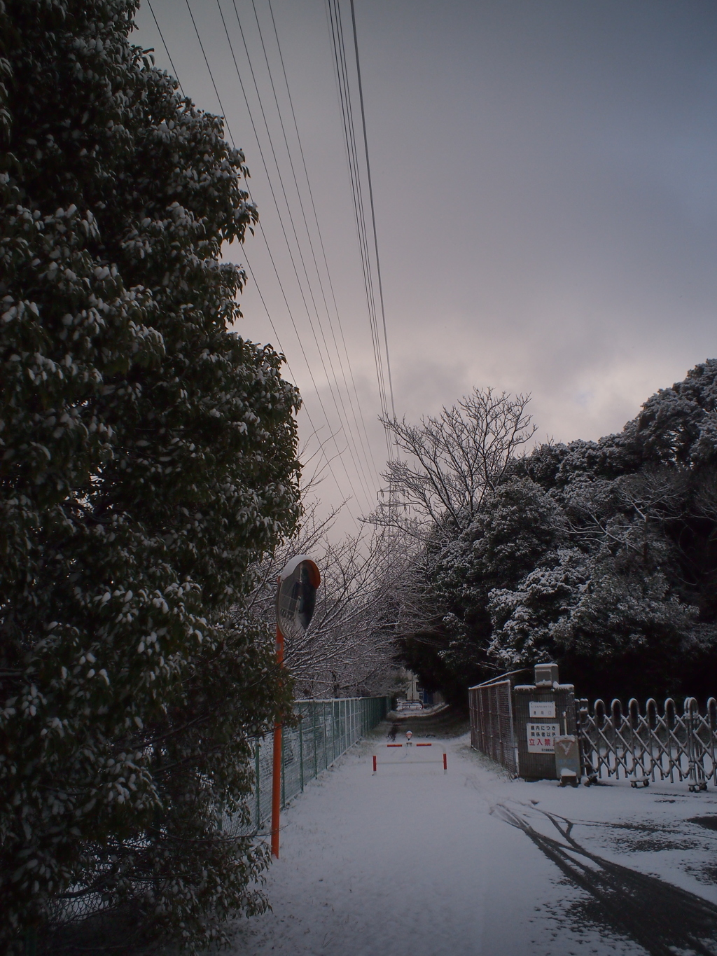 雪の日２