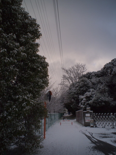 雪の日２