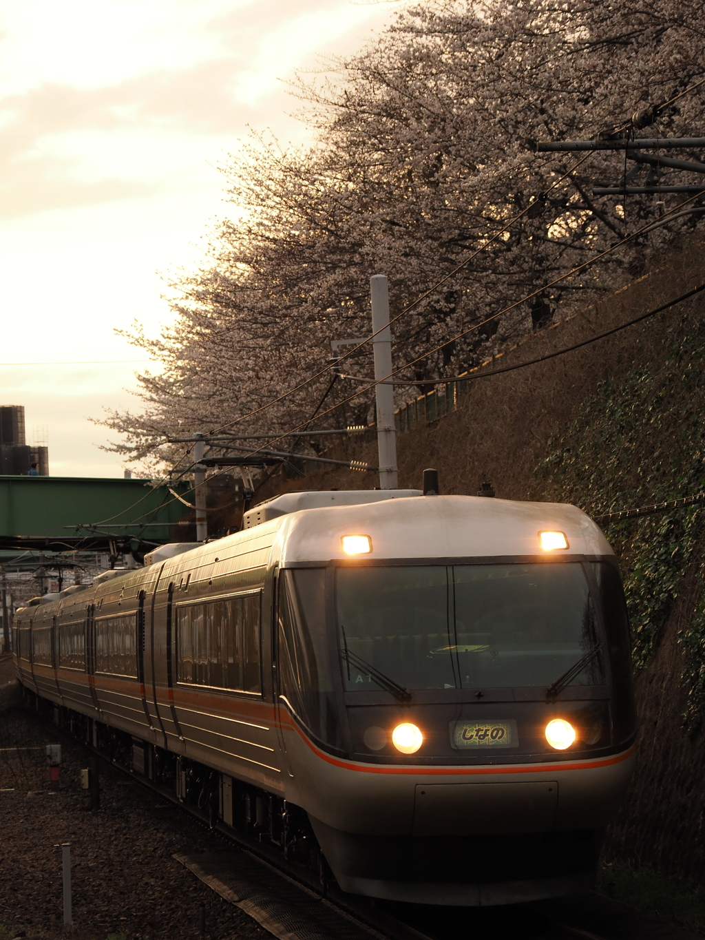 金山駅　桜と「しなの」２