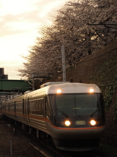 金山駅　桜と「しなの」２