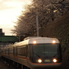 金山駅　桜と「しなの」２