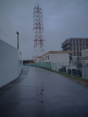 雨上がり