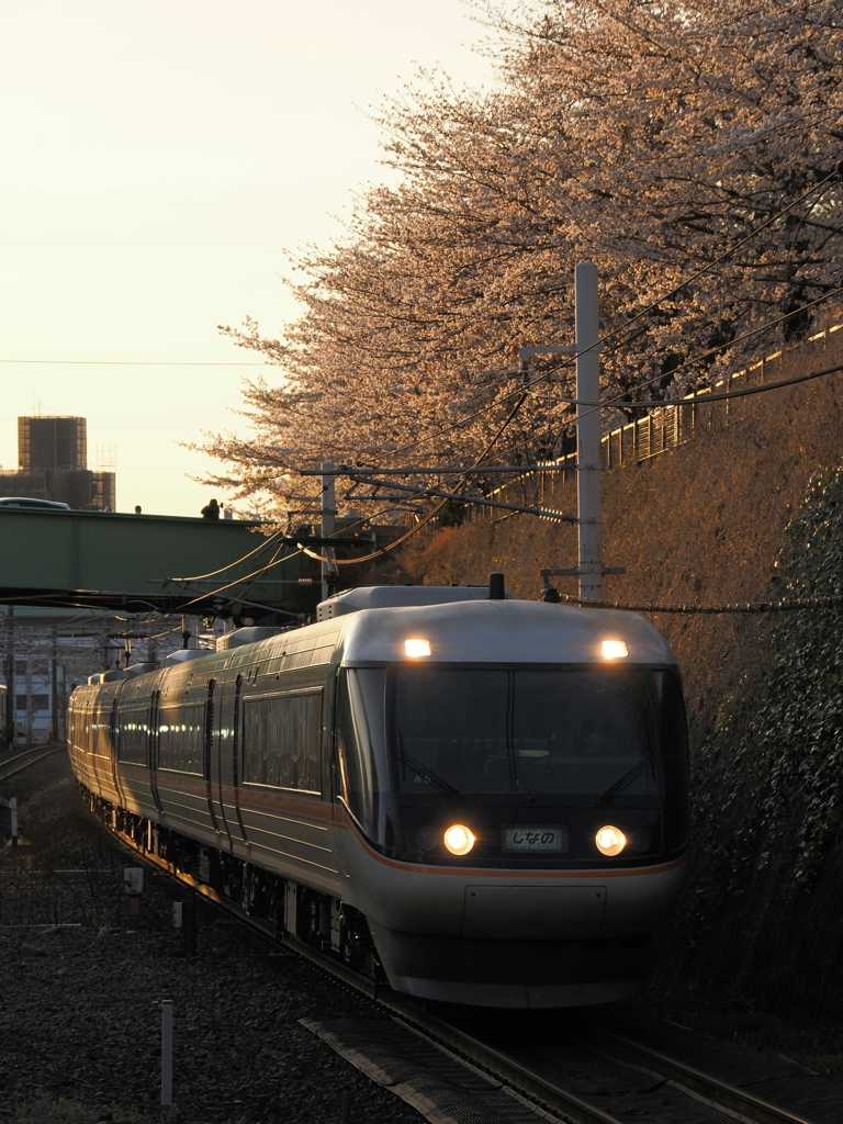 金山駅　桜と「しなの」４