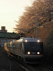 金山駅　桜と「しなの」４