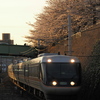 金山駅　桜と「しなの」４