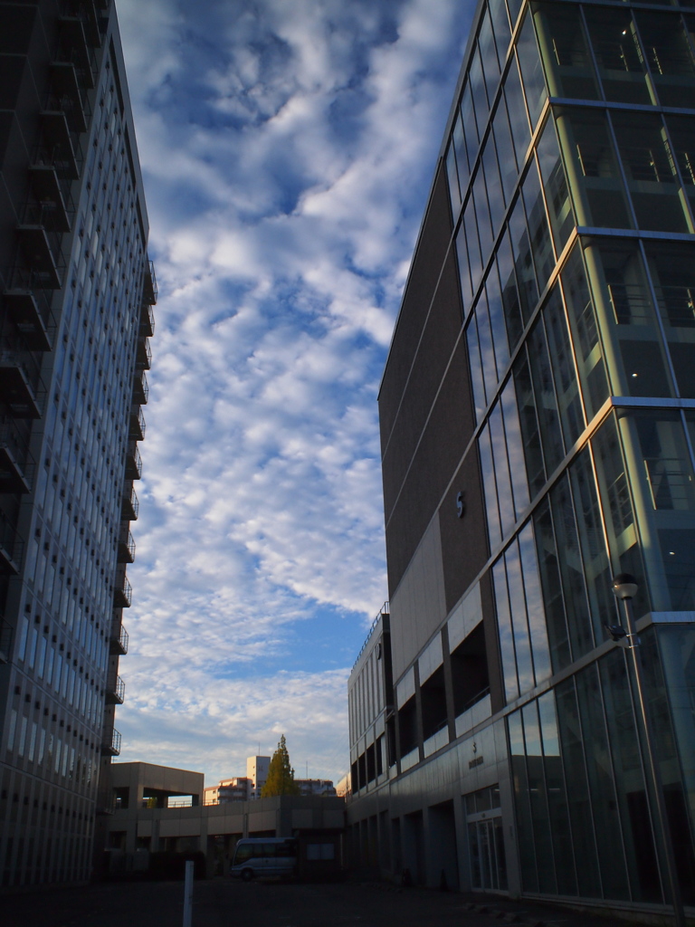 ビルの谷間の空
