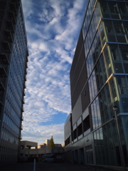 ビルの谷間の空