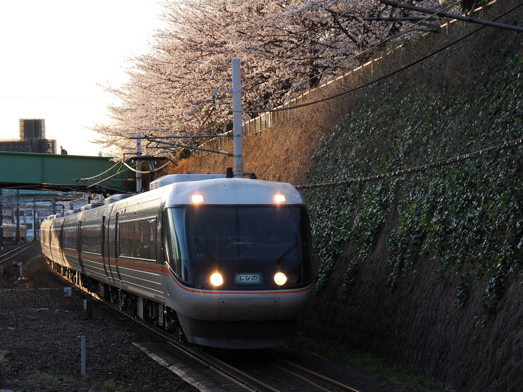 金山駅　桜と「しなの」３