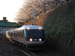 金山駅　桜と「しなの」３