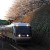 金山駅　桜と「しなの」３