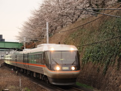 金山駅　桜と「しなの」１