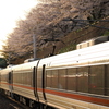 金山駅　桜と「しなの」７