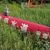 夏草の中の道