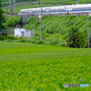お茶畑と新幹線N700S