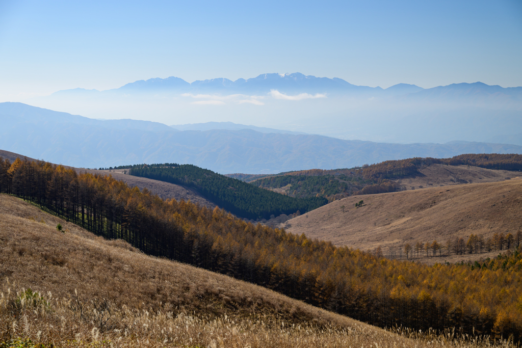 アルプス大航海のとき