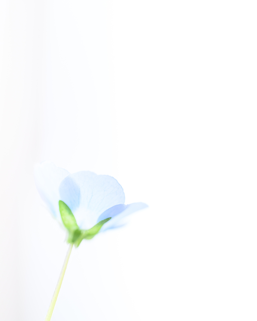 透明な青