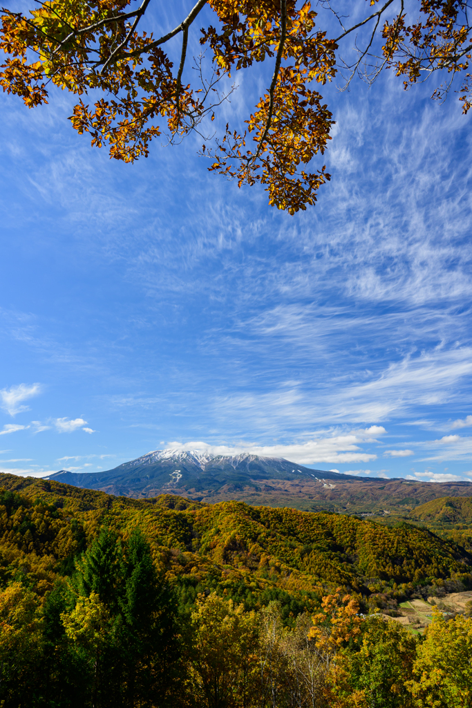 天高く馬肥ゆる秋
