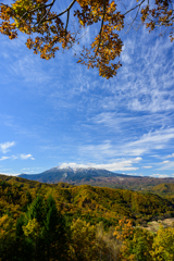 天高く馬肥ゆる秋