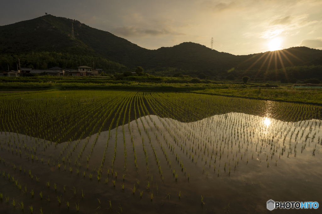 早朝の風景