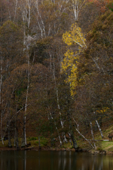 わたしに気づいて！