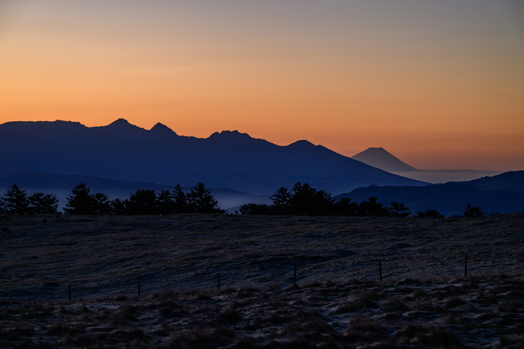 黎明の富士