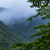 梅雨の情景