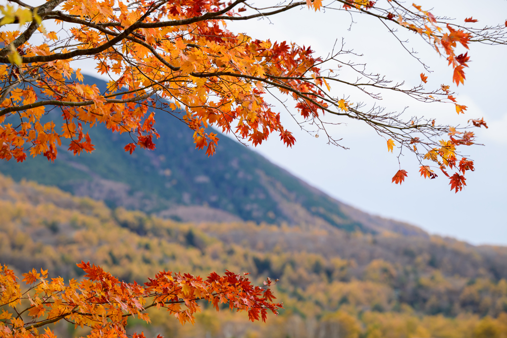 緩やかな刻(とき)