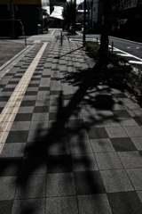 晩夏の影