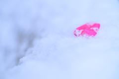 雪上の恋