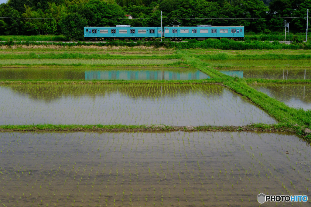 水田と鉄道のある風景　その2