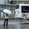 雨のインパクト