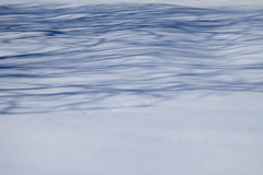 雪原のアーティスト