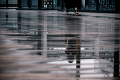 雨上がりの午後